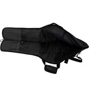 RITTER RGD2-E Electric Bag Anthracite