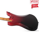 SCHECTER Standard Series Avenger- Blood Burst