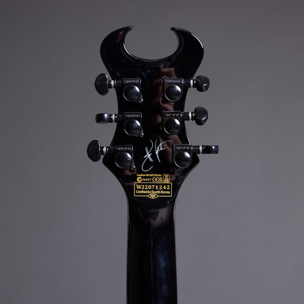 SCHECTER SYNYSTER Custom SCHECTER SYNYSTER Custom