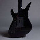 SCHECTER SYNYSTER Custom