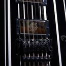 SCHECTER SYNYSTER Custom