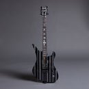 SCHECTER SYNYSTER Custom