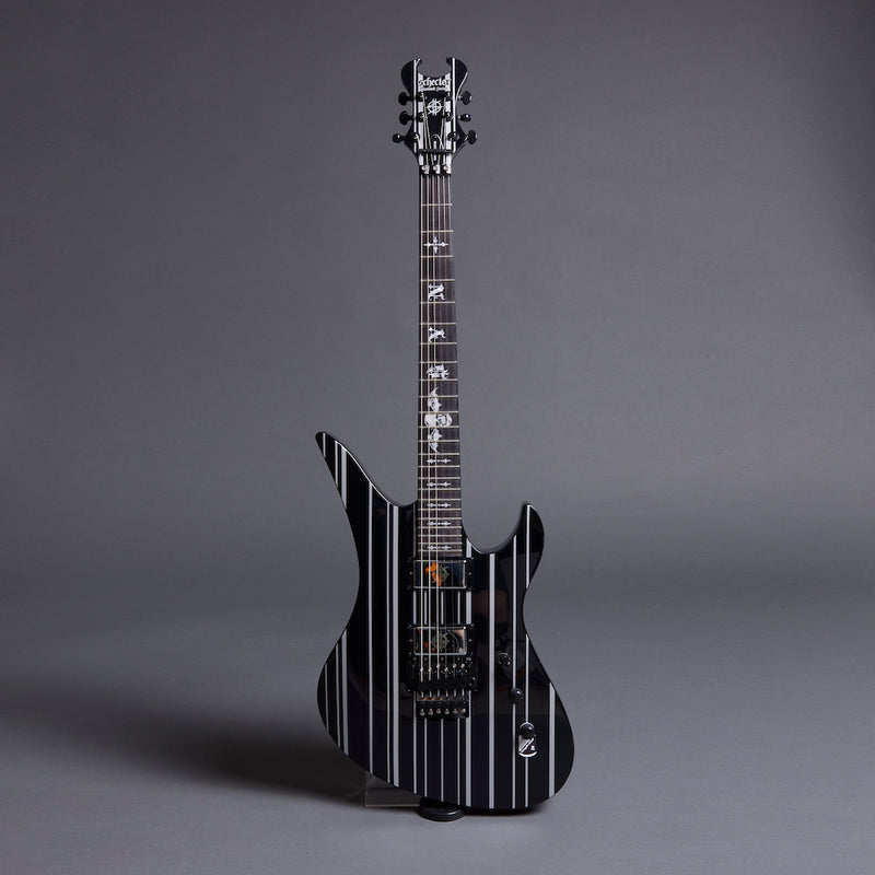 SCHECTER SYNYSTER Custom