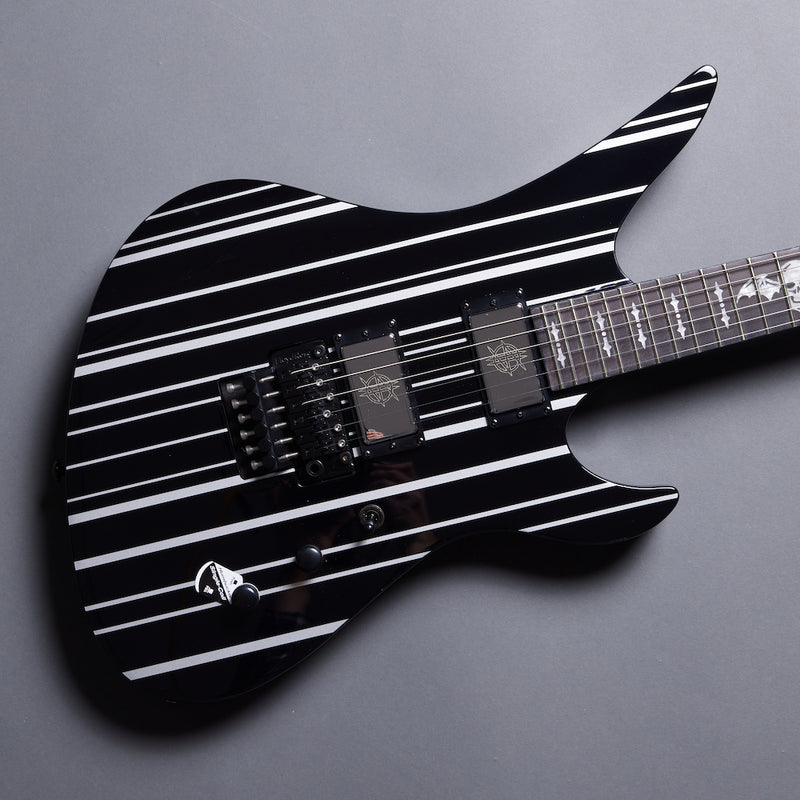 SCHECTER SYNYSTER Custom SCHECTER SYNYSTER Custom