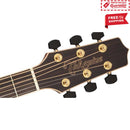 TAKAMINE TGY93NAT New Yorker Acoustic Electric