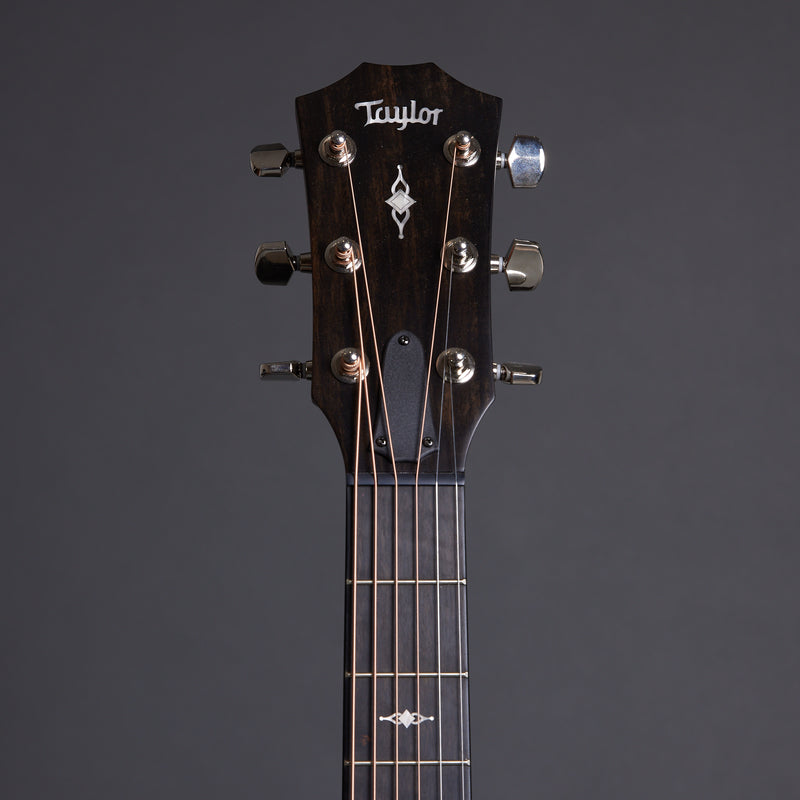 TAYLOR 314ce Grand Auditorium