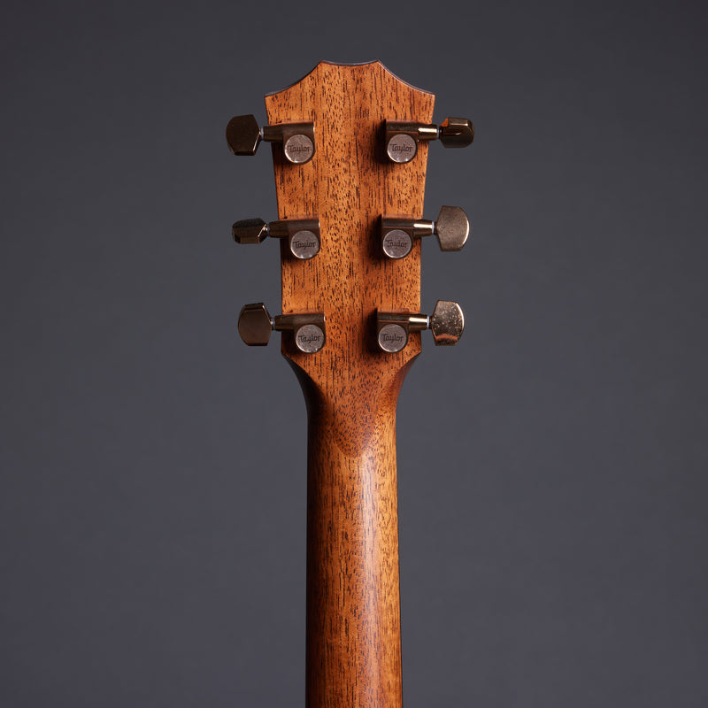 TAYLOR 724ce Grand Auditorium
