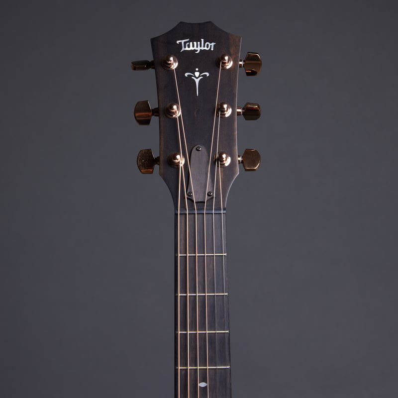 TAYLOR 724ce Grand Auditorium