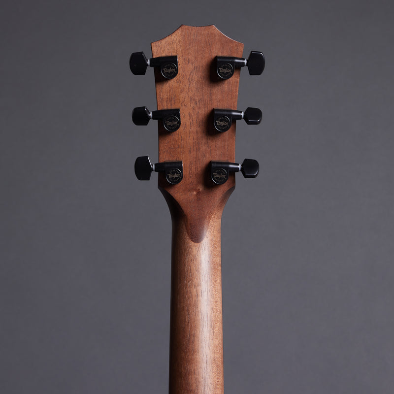 TAYLOR AD12e-SB American Dream