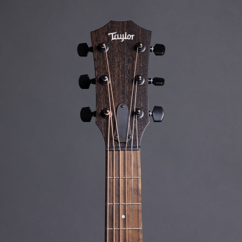 TAYLOR AD12e-SB American Dream