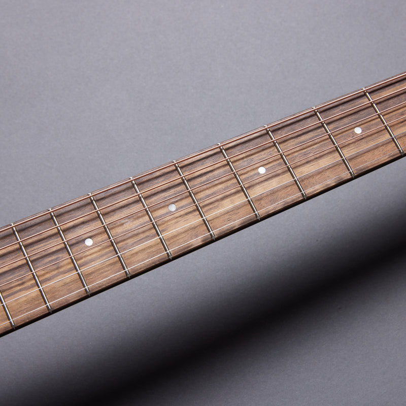 TAYLOR AD12e-SB American Dream