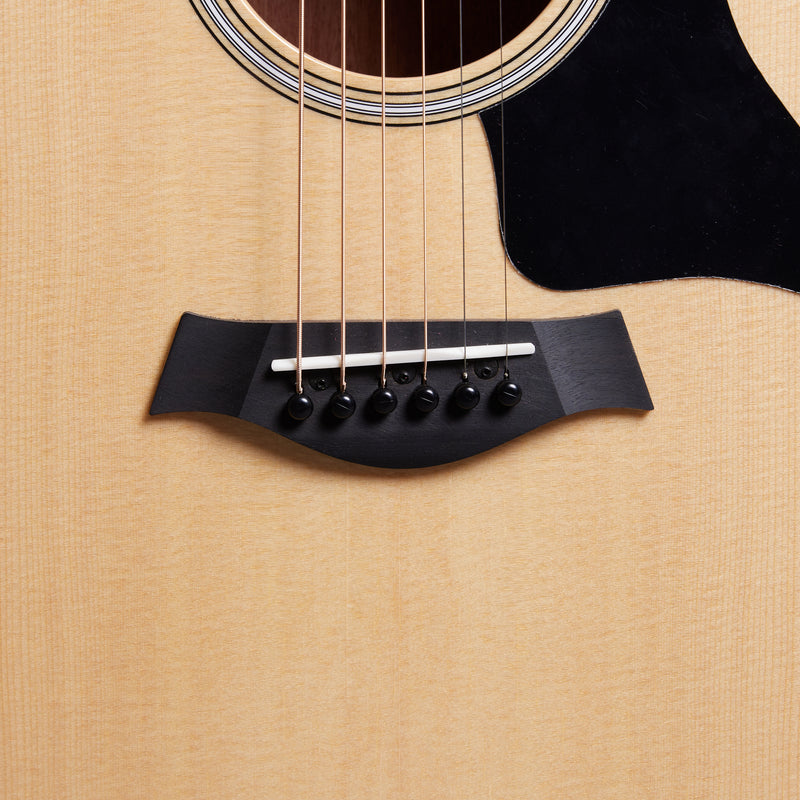 TAYLOR  GS Mini-e Rosewood Plus