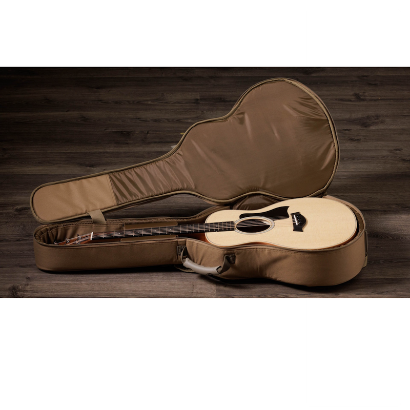 TAYLOR GS Mini Sapele