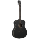 TANGLEWOOD Blackbird Orchestra