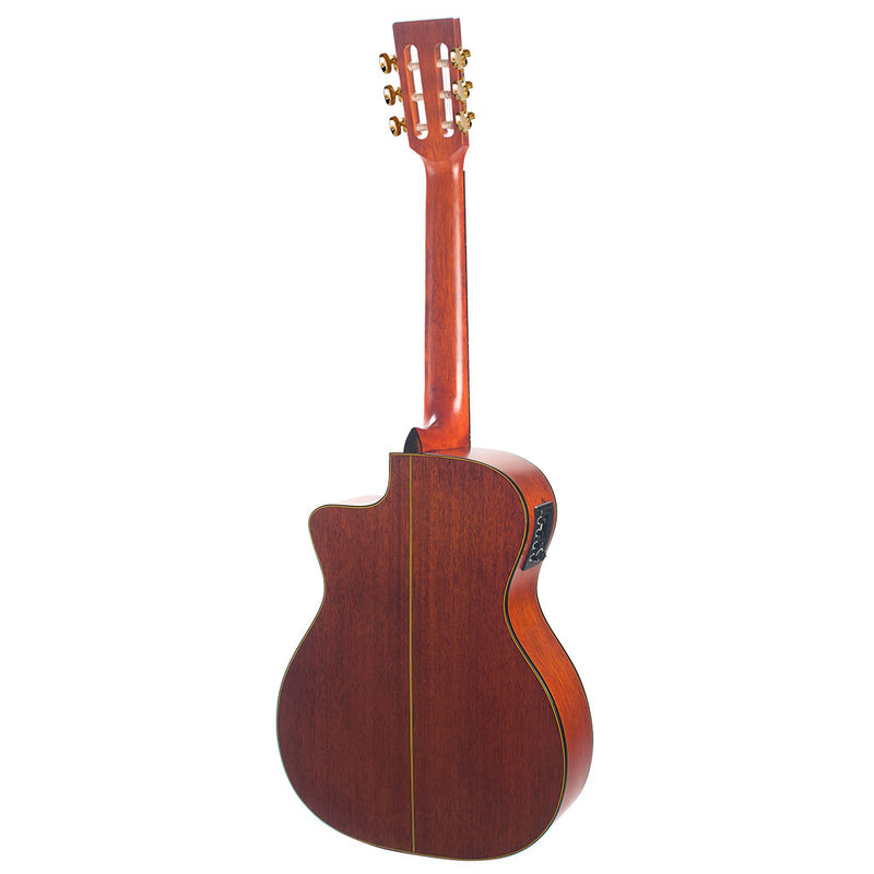 VALENCIA 430 Series Cutaway Electric - Natural