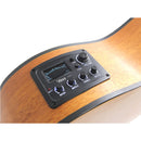 VALENCIA 430 Series Cutaway Electric - Natural