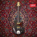 Nik Huber Piet - Stained Black Descendant Vibrato