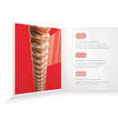 D'ADDARIO XS Medium Acoustic Strings 13-56 Gauge