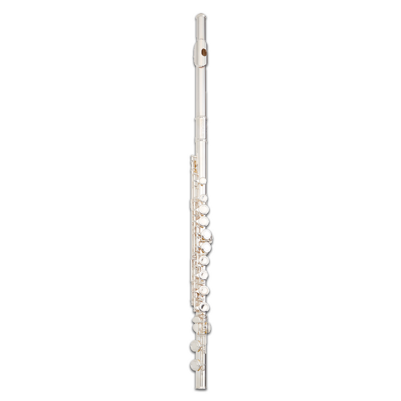 Beale FL200 Student Flute With Case