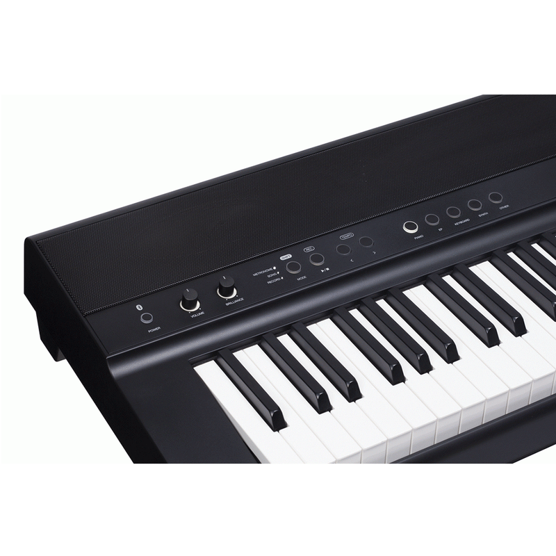 Beale DP600BT Digital Piano with Bluetooth-Dials