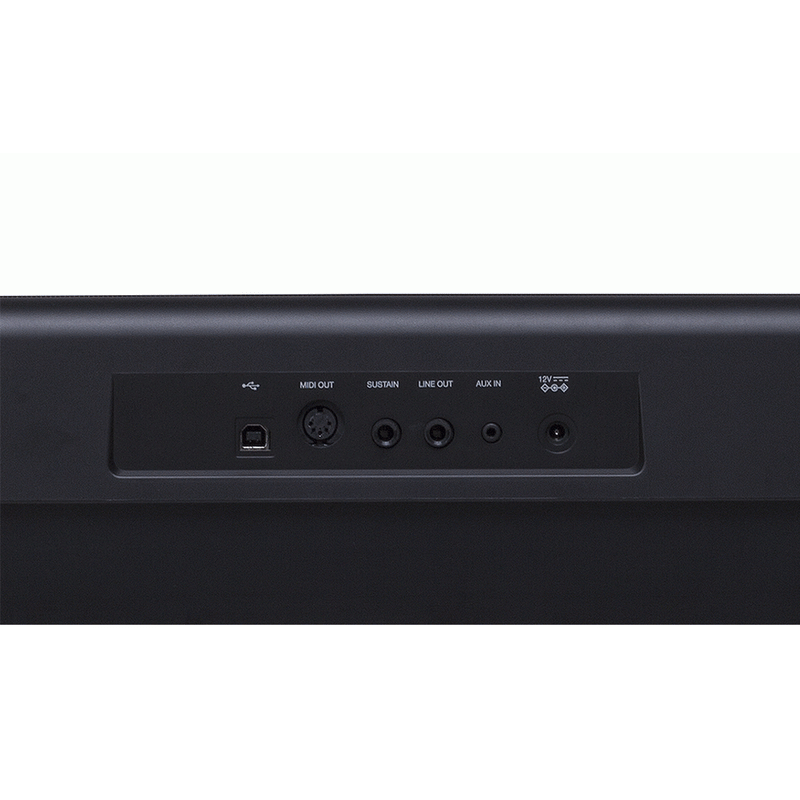 Beale DP600BT Digital Piano with Bluetooth-Rear