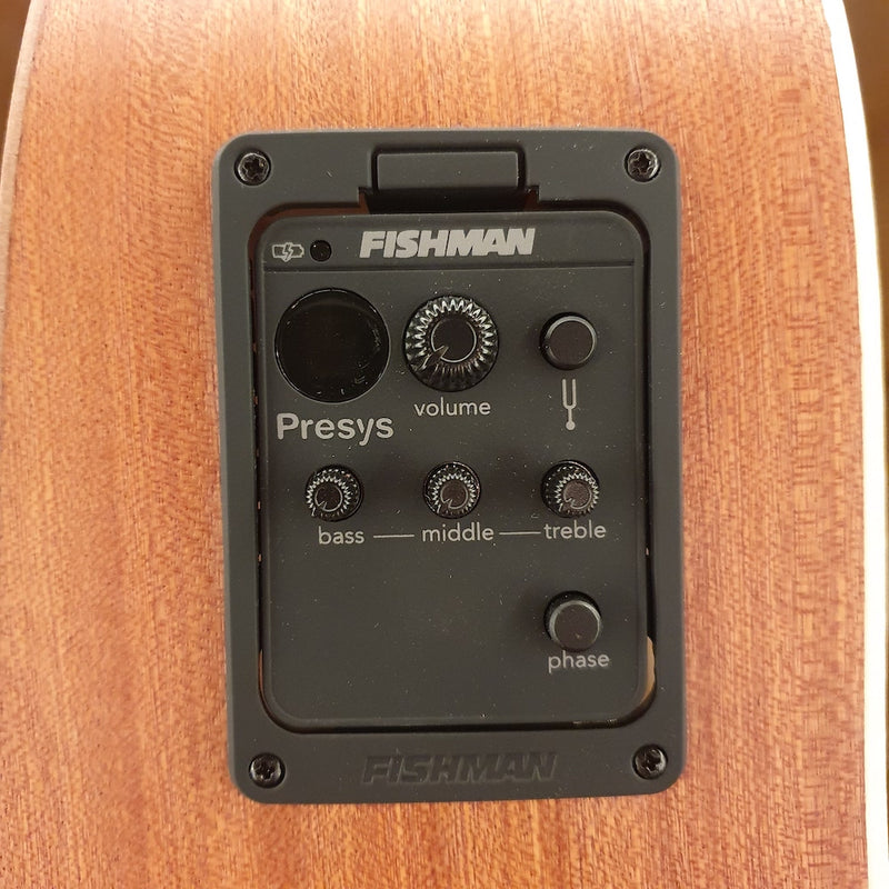 DOWINA Puella Dreadnought Acoustic Electric