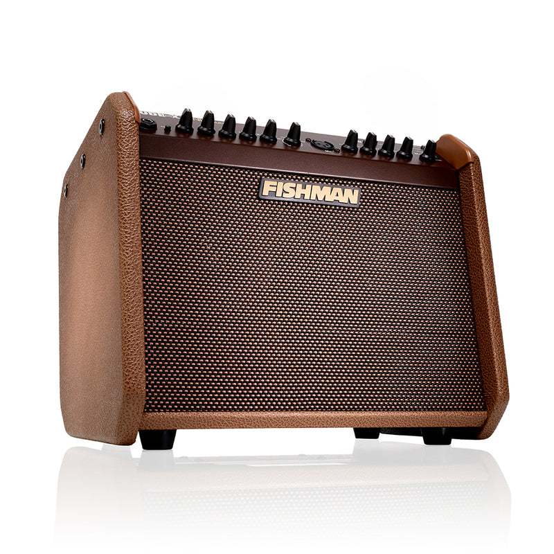 Fishman loudbox store mini 60w