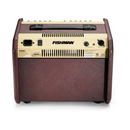 acoustic guitar amplifier mini