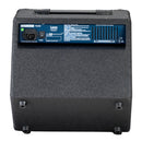 LANEY RICHTER RB1 15 Watt Bass Amp