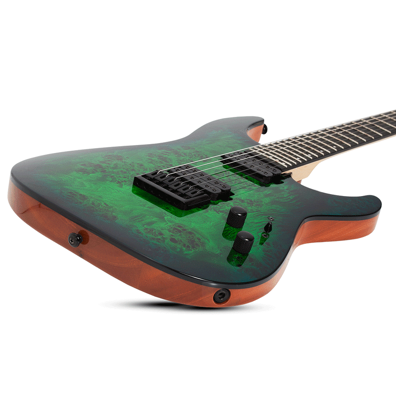 SCHECTER C-6 Pro