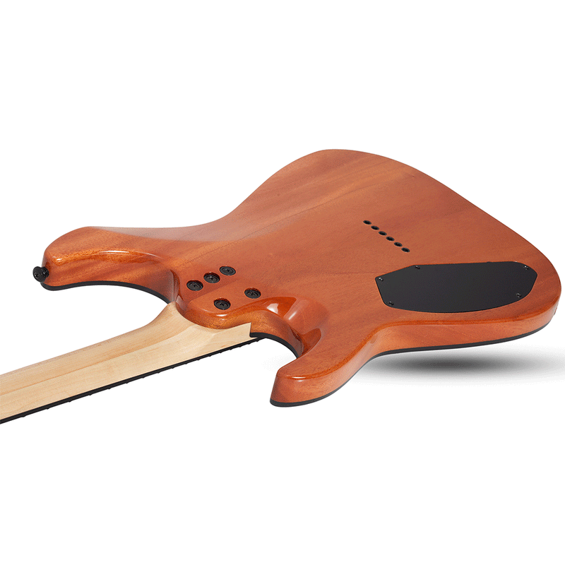 SCHECTER C-6 Pro