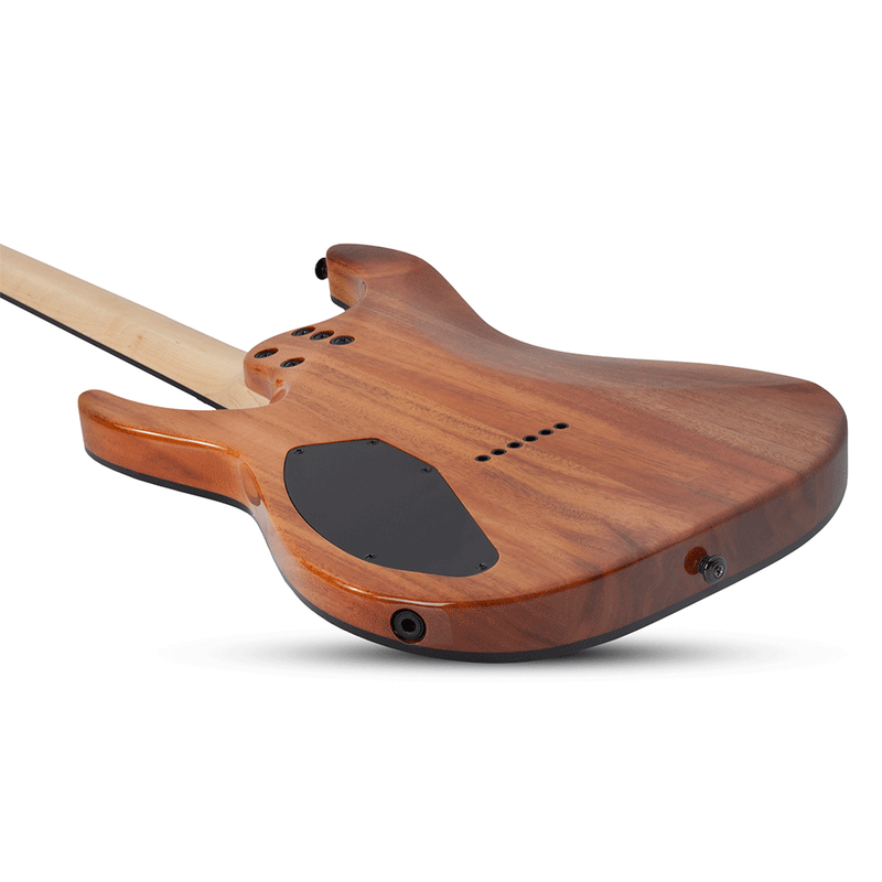 SCHECTER C-6 Pro