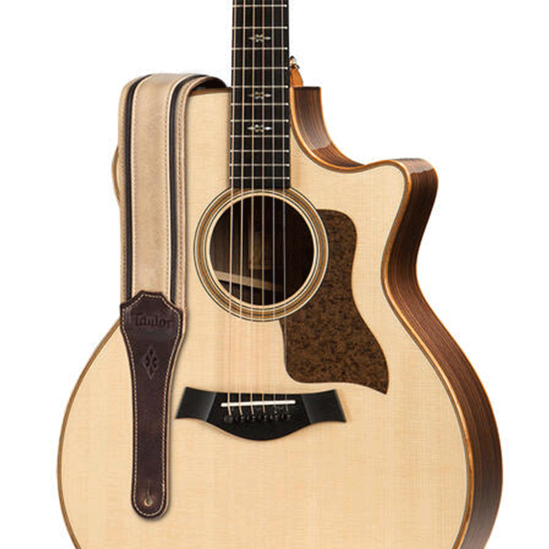 TAYLOR Strap - Reflections Spruce Ebony 2.5 Inch-Guitar