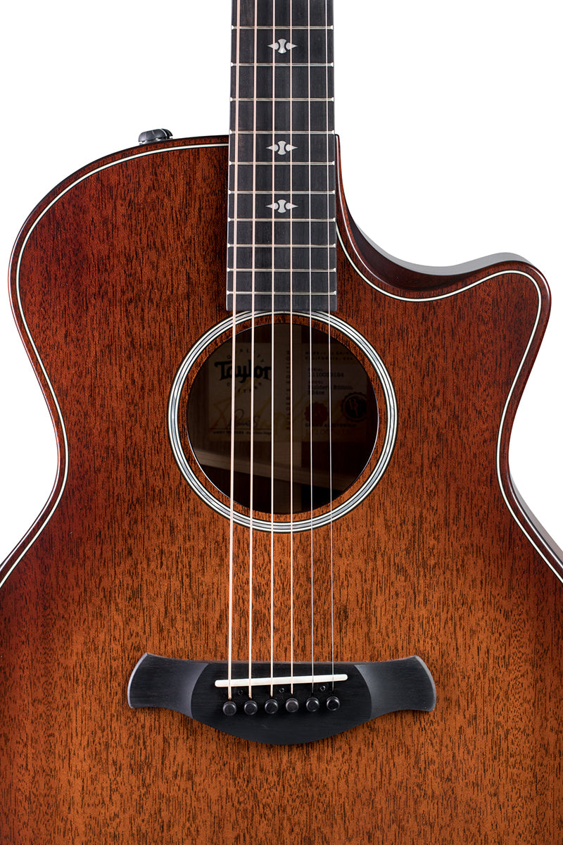 TAYLOR 324ce Builders Edition Acoustic Guitar