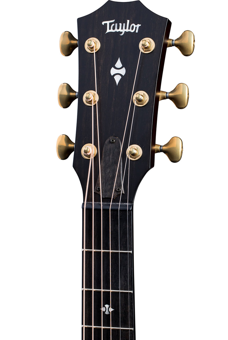 TAYLOR 324ce Builders Edition Acoustic Guitar