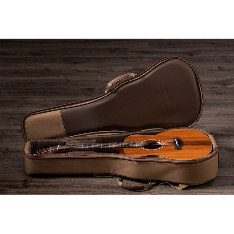 taylor gs mini-e case