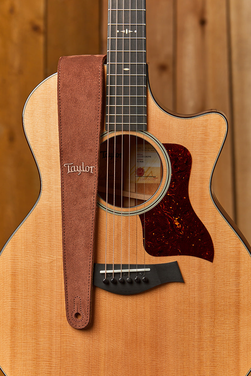 TAYLOR Strap Embroidered Chocolate Brown Suede 2.5 Inch