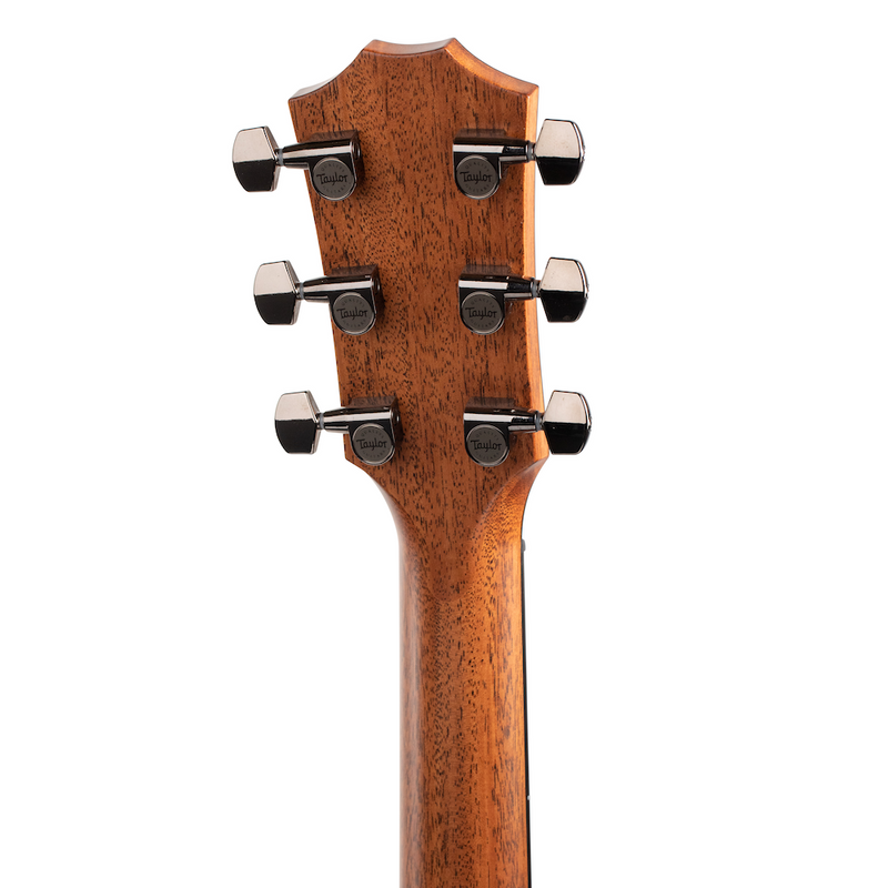 814ce headstock taylor