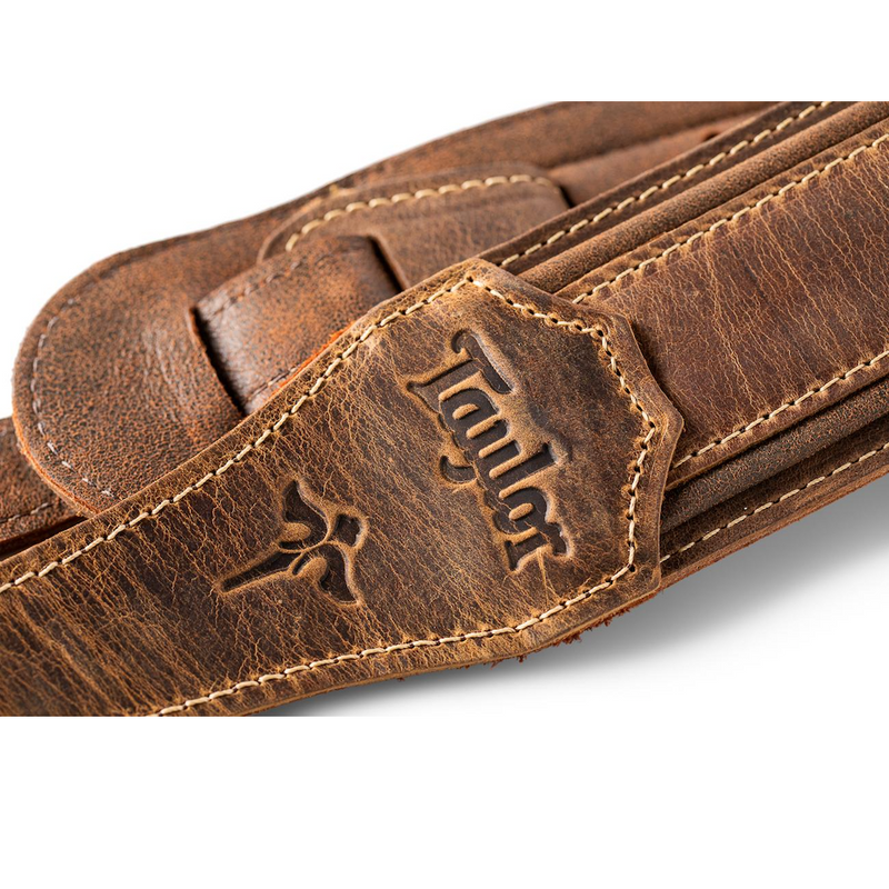 TAYLOR Wings Strap Dark Brown Leather 2.5"