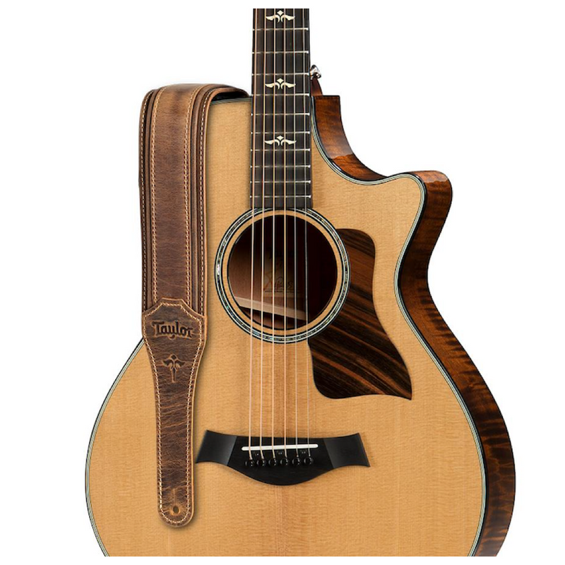TAYLOR Wings Strap Dark Brown Leather 2.5"