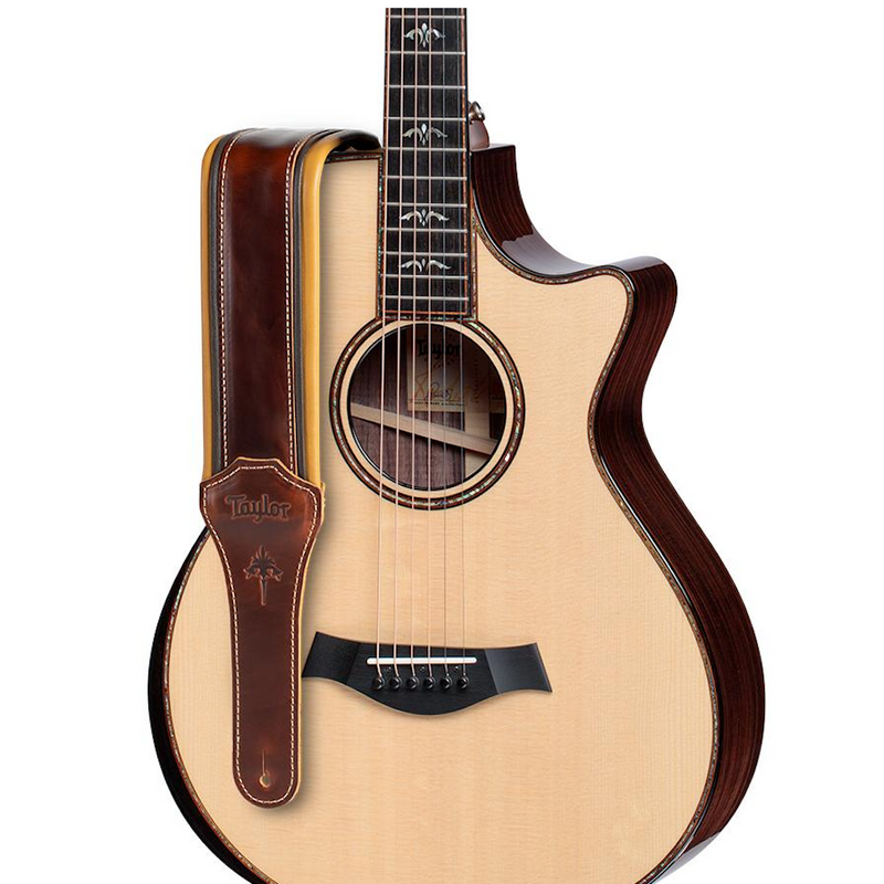 TAYLOR Ascension Strap Cordovan/Black/Butterscotch 3 Inch