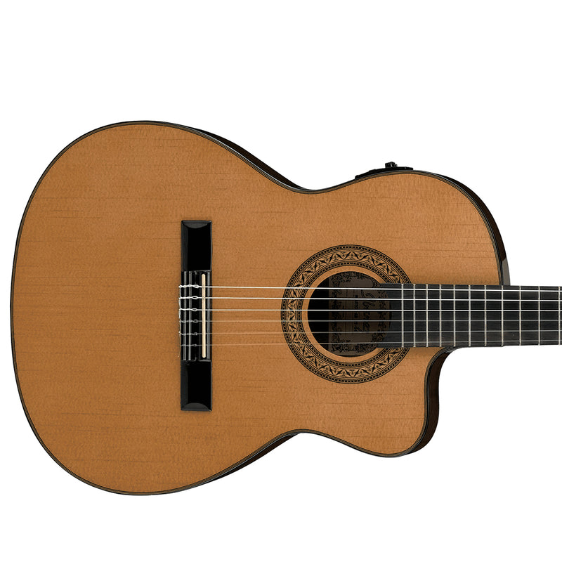 Ibanez classical discount acoustic guitar